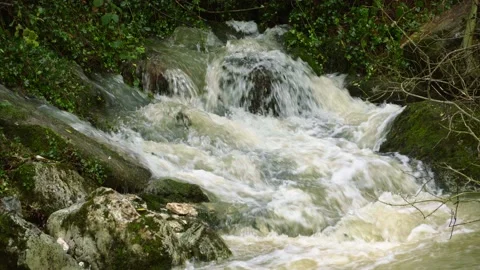 Mountain river in flood due to too much rain. Abruzzo, Italy, Europe Stock Footage 145024057