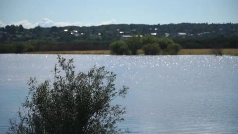 Mountain river flooded the low shore Video stock 140381015