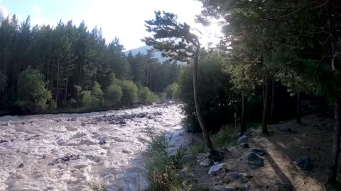 Mountain river flow among the forest Stock Footage 150707176