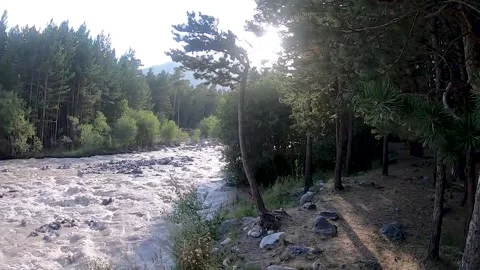 Mountain river flow among the forest Stock Footage 150707257