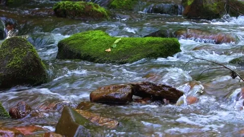 Mountain river flow among stones Video stock 201427667