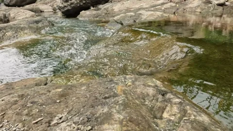 Mountain river flow during the dry season. Clear mountain river water Stock Footage 321319143