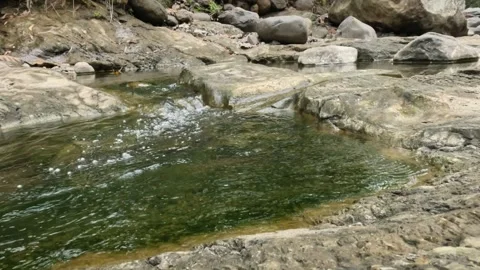 Mountain river flow during the dry season. Clear mountain river water Stock Footage 321319299