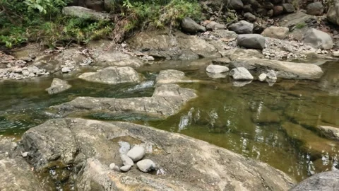 Mountain river flow during the dry season. Clear mountain river water Stock Footage 321319329