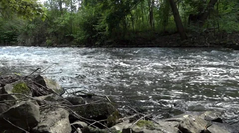 Mountain River Flow 動画素材 38441433