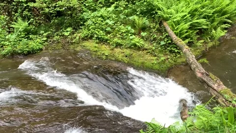 Mountain river flow Stock Footage 150664891