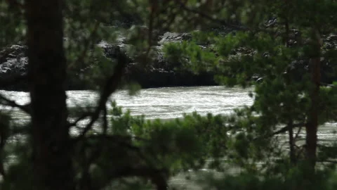 Mountain river flow Stock Footage 204107997