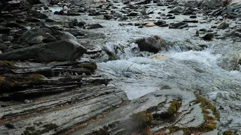 Mountain river. flow of a rocky mountain river on a cloudy cold weather Stock Footage 259866185