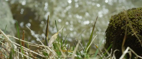 Mountain river flow threshold Stock Footage 50578797