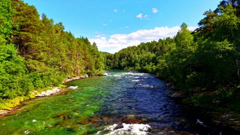Mountain River Flow through Forest Valley, Oppdal Norway Stock Footage 318537696