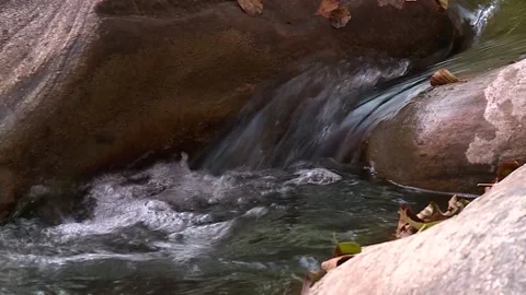 Mountain river flowing among the rocks Stock Footage 220861822