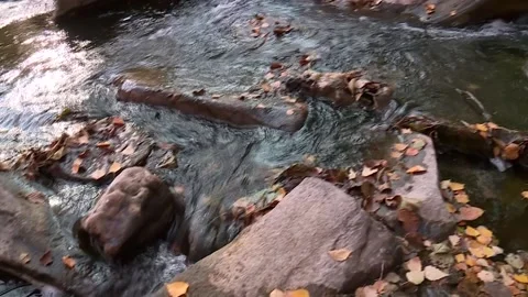 A mountain river flowing among the rocks. camera panorama Stock Footage 220861845