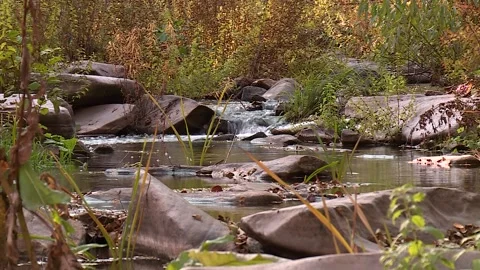 Mountain river flowing among the rocks Video stock 221818538