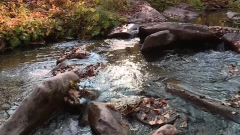 A mountain river flowing among the rocks. camera panorama Stock Footage 221818606