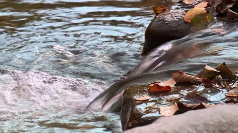 Mountain river flowing among the rocks. close-up Video stock 221818645