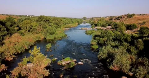 Mountain River Flowing Among the Trees. Stock Footage 252023092