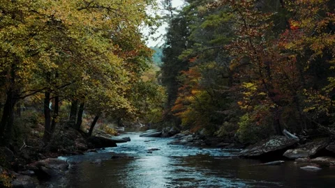 Mountain River Flowing in Autumn Stock Footage 220084980