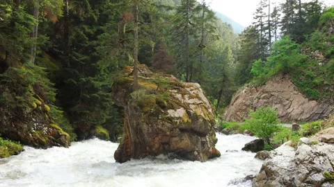 Mountain river flowing between rocks Video stock 198328860