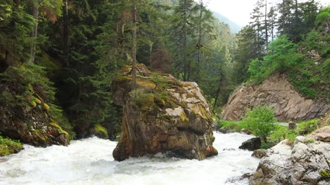 Mountain river flowing between rocks Video stock 198333329