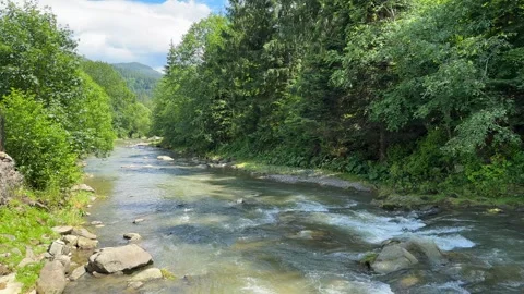 Mountain river flowing between rocky shores in woodland. Beautiful landscape and Stock Footage 256789987