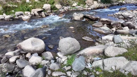 A Mountain River Flowing Between Rocky Shores and Stones, with River Debris  Stock Footage 288464795