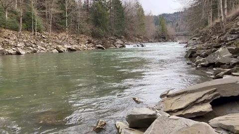 Mountain river flowing between rocky banks and forest in spring Vidéo 313295537