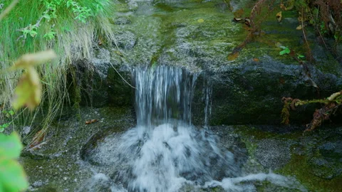 Mountain River Flowing Between Stones and Lush Green Plants Stock Footage 320212804