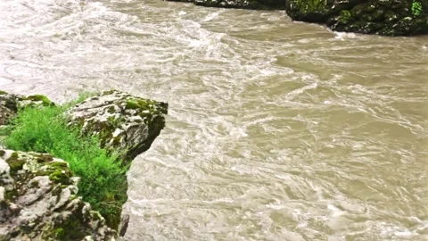 Mountain river flowing in a canyon in springtime Stock Footage 243750880