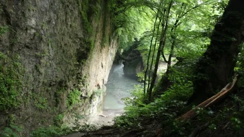 Mountain river flowing in a canyon in springtime Stock Footage 243757637