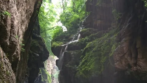 Mountain river flowing in a canyon in springtime Stock Footage 243757754