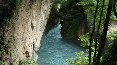 Mountain river flowing in a canyon in springtime Stock Footage 243757819