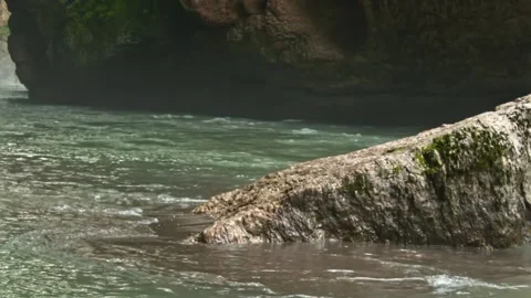 Mountain river flowing in a canyon in springtime Stock Footage 243757976