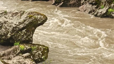 Mountain river flowing in a canyon in springtime Stock Footage 243758088