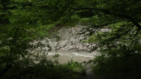 Mountain river flowing in a canyon in springtime Stock Footage 243758831