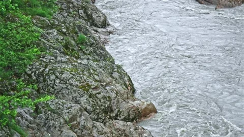 Mountain river flowing in a canyon in springtime Stock Footage 243759151