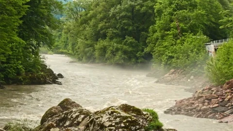 Mountain river flowing in a canyon in springtime Stock-Footage 243762749