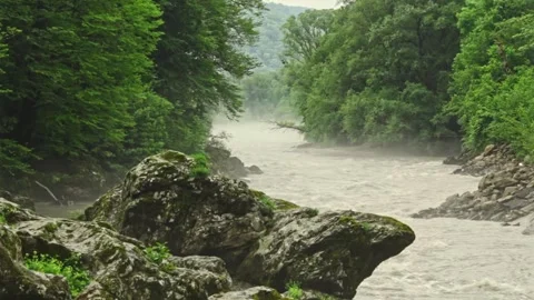 Mountain river flowing in a canyon in springtime Stock-Footage 243763079