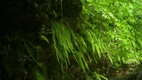 Mountain river flowing in a canyon in springtime Video stock 243764595