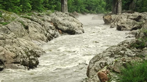 Mountain river flowing in a canyon in springtime Stock-Footage 243765135