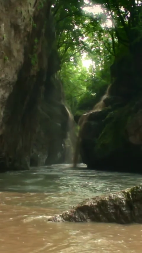 Mountain river flowing in a canyon in springtime Stock Footage 244067372