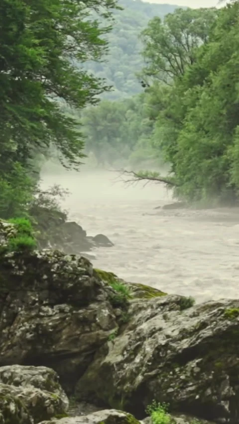 Mountain river flowing in a canyon in springtime 스톡 동영상 244069620