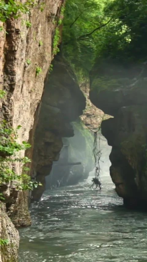 Mountain river flowing in a canyon in springtime Stock Footage 244069849