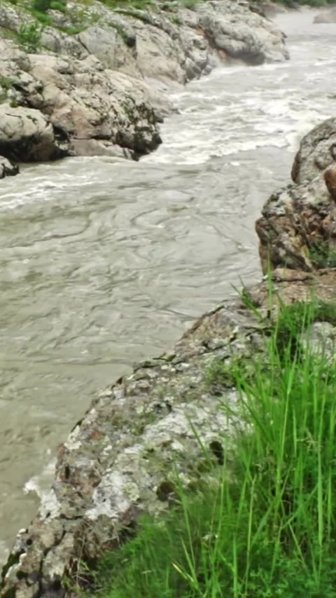 Mountain river flowing in a canyon in springtime Stock Footage 244069961