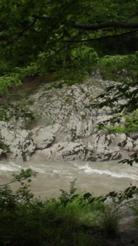 Mountain river flowing in a canyon in springtime Stock Footage 244071035