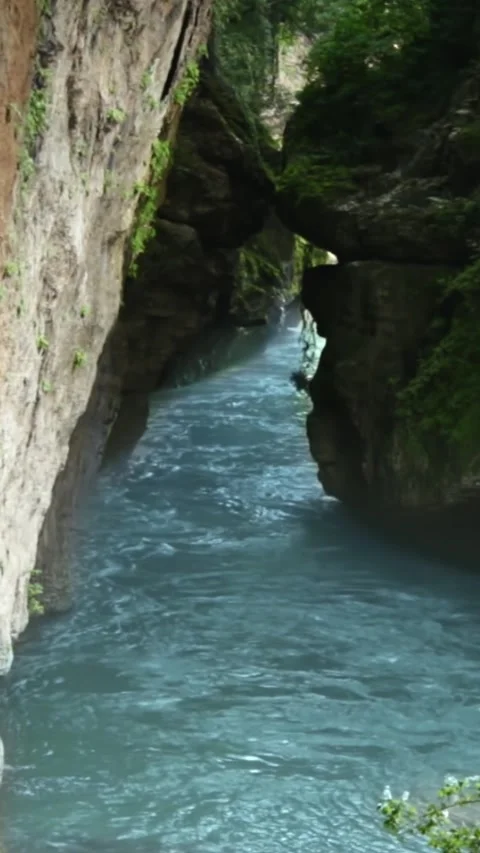 Mountain river flowing in a canyon in springtime Stock Footage 244071939