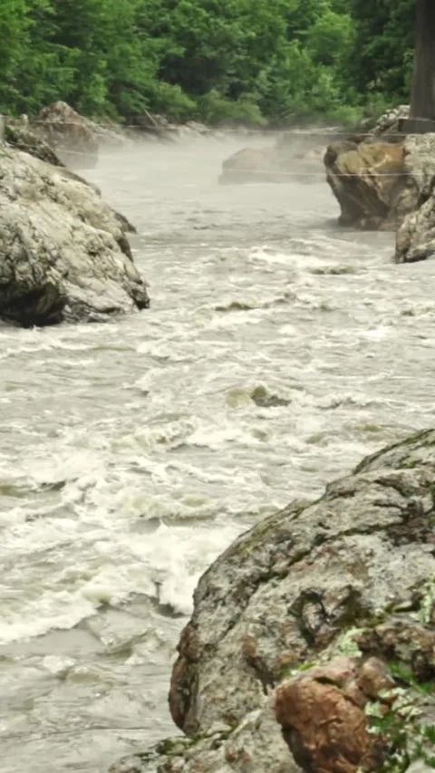 Mountain river flowing in a canyon in springtime Stock Footage 244072198