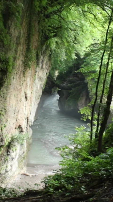 Mountain river flowing in a canyon in springtime Stock Footage 244072443
