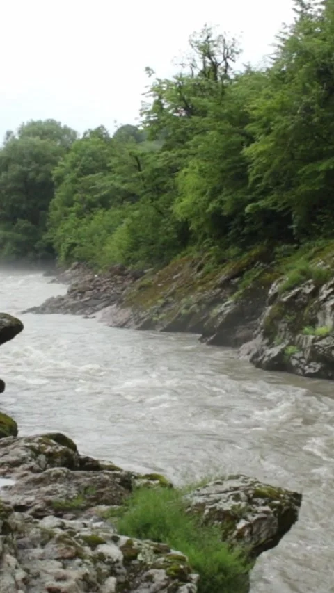 Mountain river flowing in a canyon in springtime Stock Footage 244073035