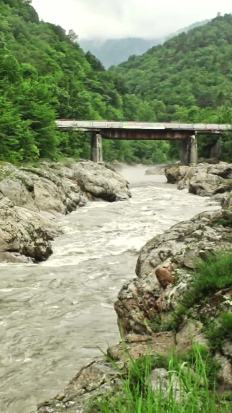 Mountain river flowing in a canyon in springtime Stock Footage 244074144