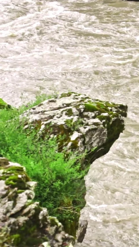 Mountain river flowing in a canyon in springtime Stock Footage 244074163